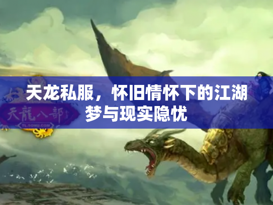 天龙私服，怀旧情怀下的江湖梦与现实隐忧