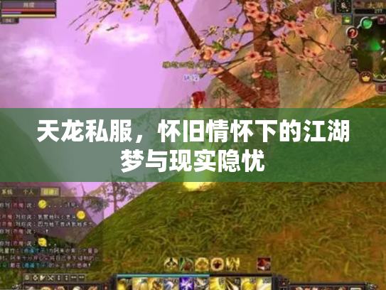 天龙私服，怀旧情怀下的江湖梦与现实隐忧