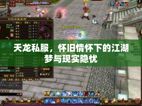 天龙私服，怀旧情怀下的江湖梦与现实隐忧