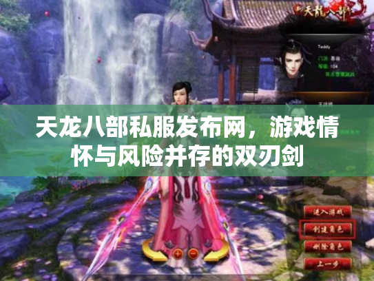 天龙八部私服发布网，游戏情怀与风险并存的双刃剑