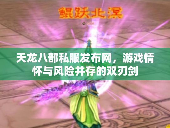 天龙八部私服发布网，游戏情怀与风险并存的双刃剑