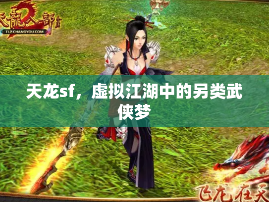 天龙sf，虚拟江湖中的另类武侠梦