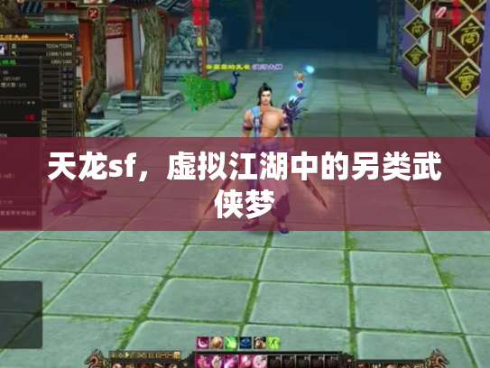 天龙sf，虚拟江湖中的另类武侠梦