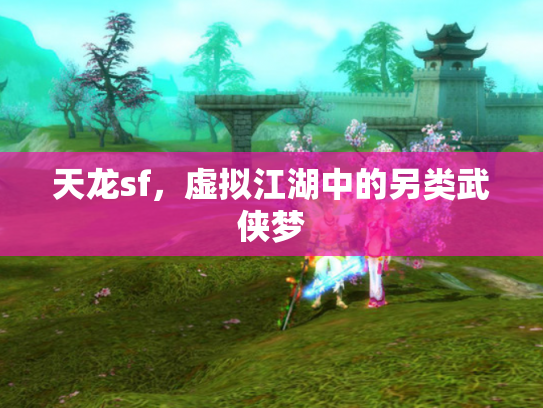 天龙sf，虚拟江湖中的另类武侠梦