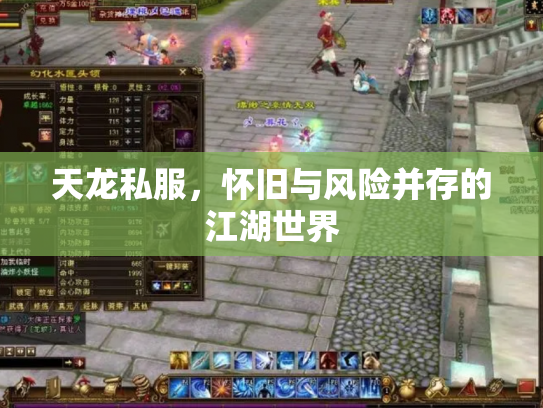 天龙私服，怀旧与风险并存的江湖世界