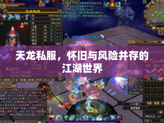 天龙私服，怀旧与风险并存的江湖世界