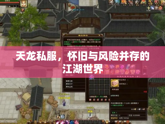 天龙私服，怀旧与风险并存的江湖世界