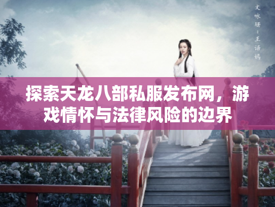 探索天龙八部私服发布网，游戏情怀与法律风险的边界