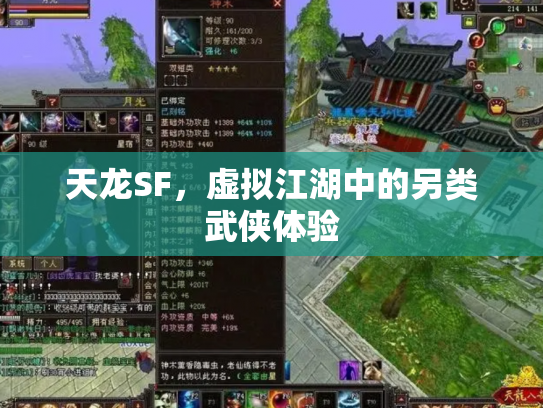 天龙SF，虚拟江湖中的另类武侠体验