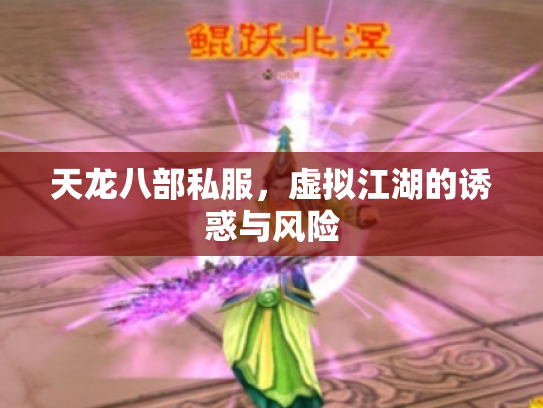 天龙八部私服，虚拟江湖的诱惑与风险