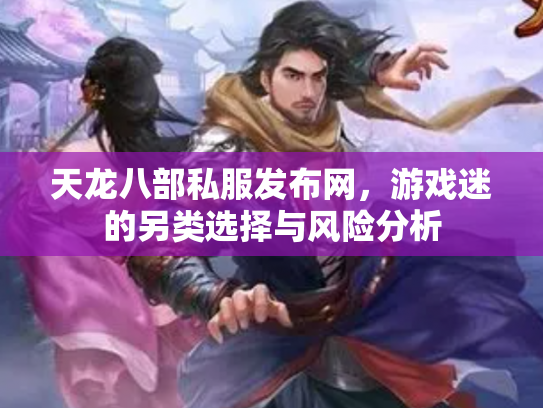 天龙八部私服发布网，游戏迷的另类选择与风险分析