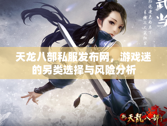 天龙八部私服发布网，游戏迷的另类选择与风险分析
