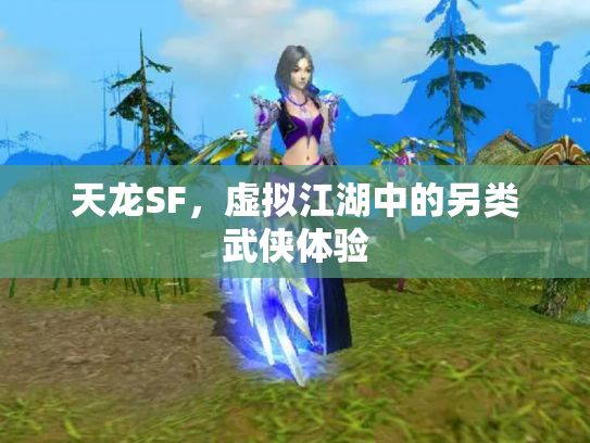 天龙SF，虚拟江湖中的另类武侠体验