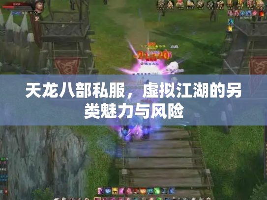 天龙八部私服，虚拟江湖的另类魅力与风险