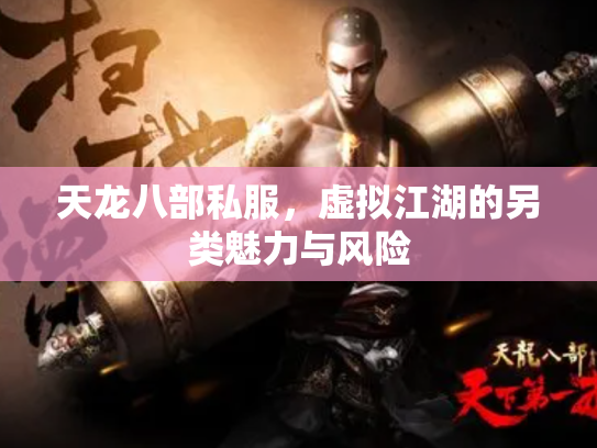 天龙八部私服，虚拟江湖的另类魅力与风险