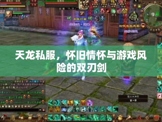 天龙私服，怀旧情怀与游戏风险的双刃剑