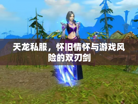 天龙私服，怀旧情怀与游戏风险的双刃剑