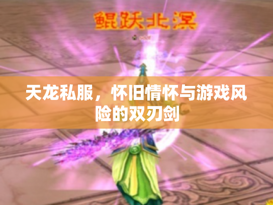 天龙私服，怀旧情怀与游戏风险的双刃剑