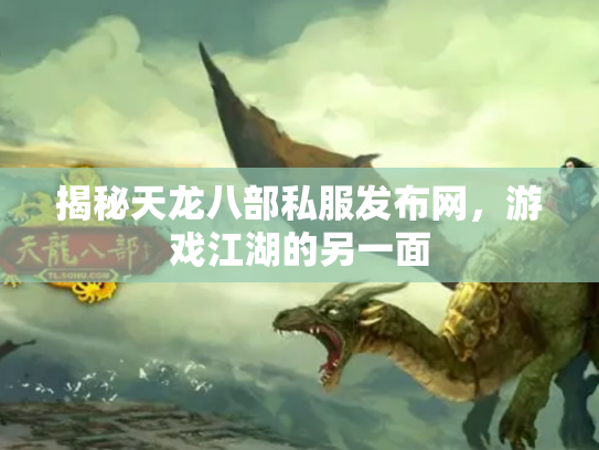 揭秘天龙八部私服发布网，游戏江湖的另一面