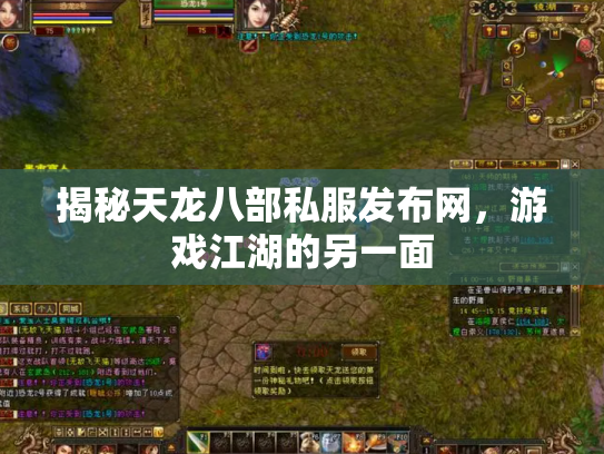 揭秘天龙八部私服发布网，游戏江湖的另一面