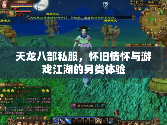 天龙八部私服，怀旧情怀与游戏江湖的另类体验