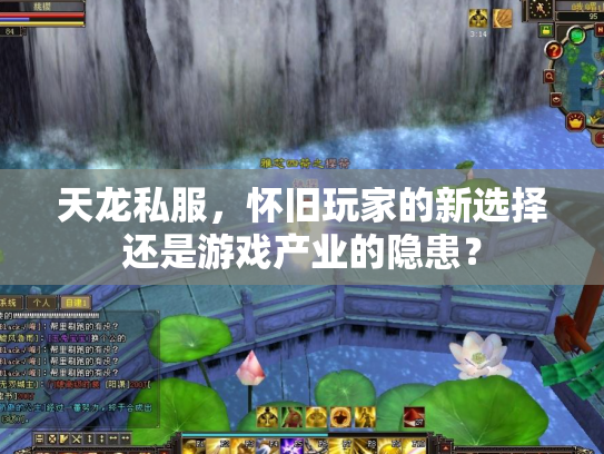 天龙私服，怀旧玩家的新选择还是游戏产业的隐患？