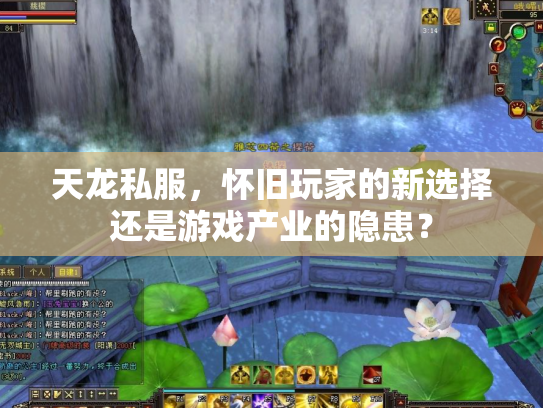天龙私服，怀旧玩家的新选择还是游戏产业的隐患？