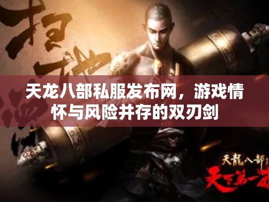 天龙八部私服发布网，游戏情怀与风险并存的双刃剑