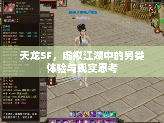 天龙SF，虚拟江湖中的另类体验与现实思考