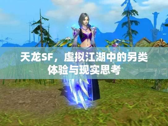 天龙SF，虚拟江湖中的另类体验与现实思考