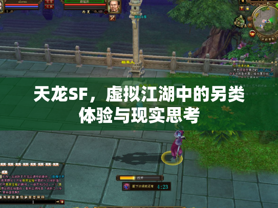 天龙SF，虚拟江湖中的另类体验与现实思考