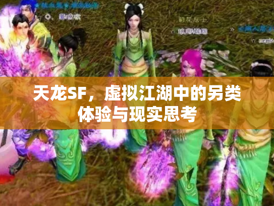 天龙SF，虚拟江湖中的另类体验与现实思考