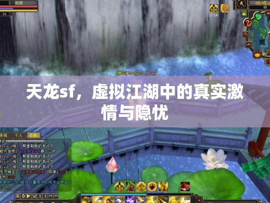 天龙sf，虚拟江湖中的真实激情与隐忧