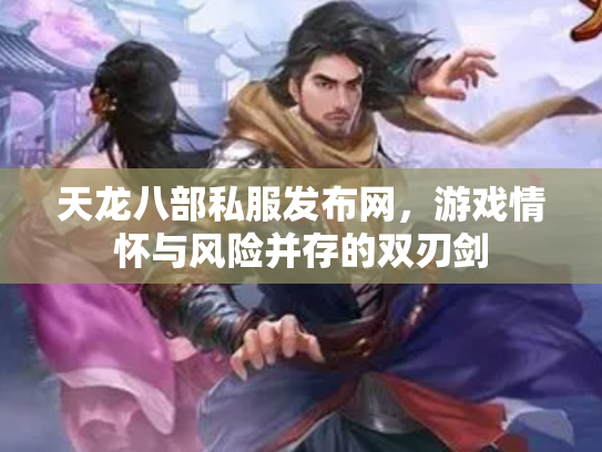 天龙八部私服发布网，游戏情怀与风险并存的双刃剑