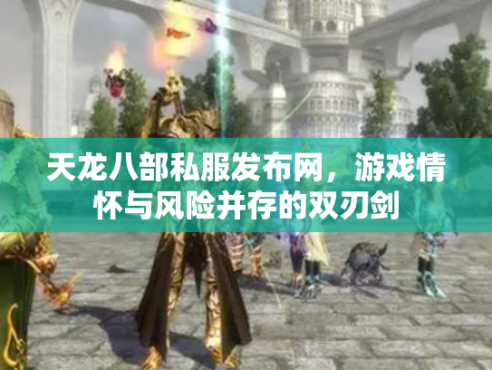 天龙八部私服发布网，游戏情怀与风险并存的双刃剑