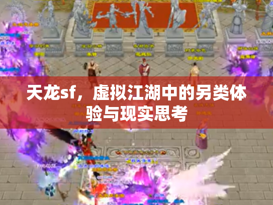 天龙sf，虚拟江湖中的另类体验与现实思考