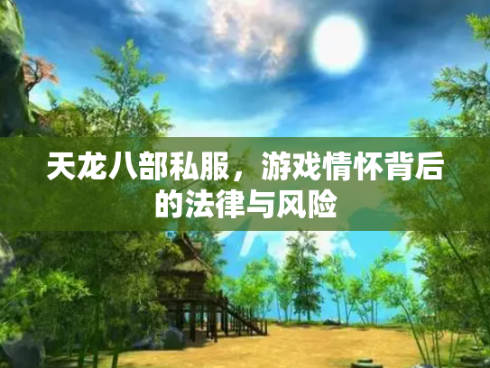 天龙八部私服，游戏情怀背后的法律与风险