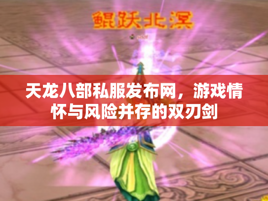 天龙八部私服发布网，游戏情怀与风险并存的双刃剑