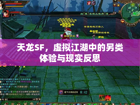 天龙SF，虚拟江湖中的另类体验与现实反思