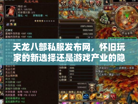 天龙八部私服发布网，怀旧玩家的新选择还是游戏产业的隐患？