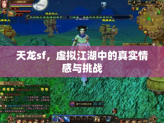 天龙sf，虚拟江湖中的真实情感与挑战