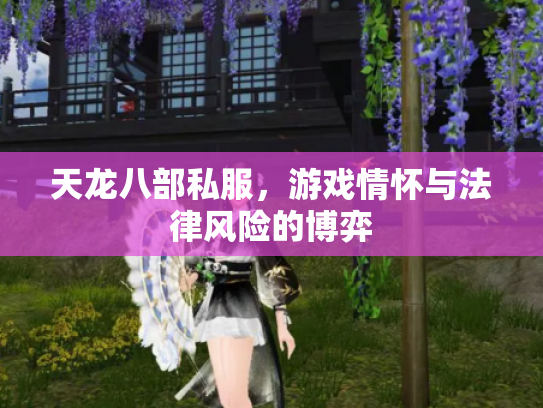 天龙八部私服，游戏情怀与法律风险的博弈
