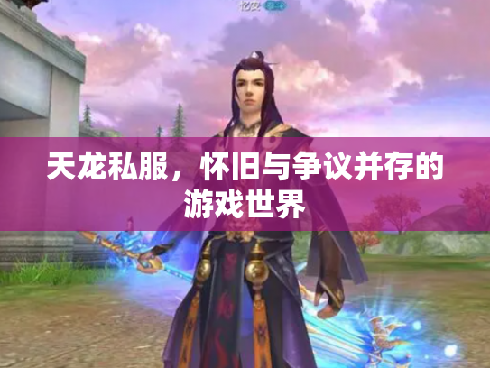 天龙私服，怀旧与争议并存的游戏世界