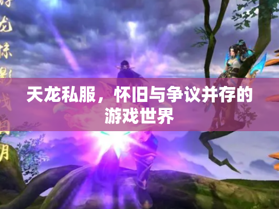 天龙私服，怀旧与争议并存的游戏世界