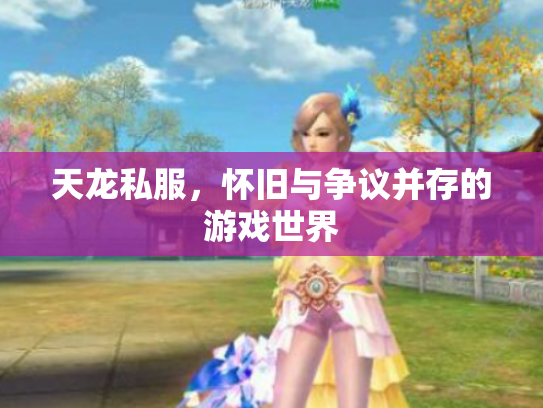 天龙私服，怀旧与争议并存的游戏世界