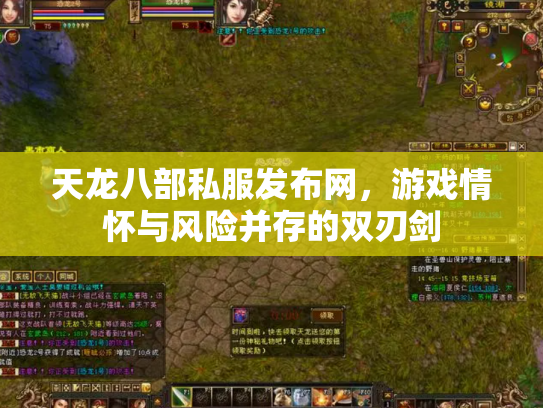 天龙八部私服发布网，游戏情怀与风险并存的双刃剑