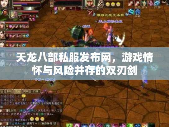 天龙八部私服发布网，游戏情怀与风险并存的双刃剑