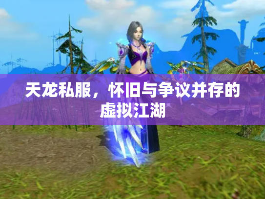 天龙私服，怀旧与争议并存的虚拟江湖