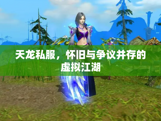 天龙私服，怀旧与争议并存的虚拟江湖