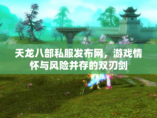 天龙八部私服发布网，游戏情怀与风险并存的双刃剑